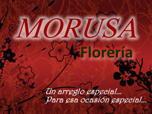 Florería Morusa Florería Morusa