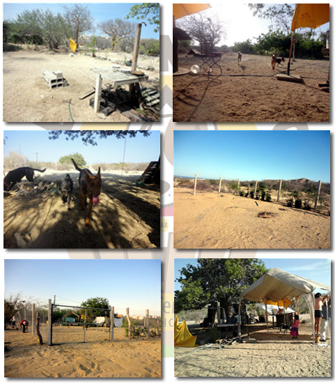 poster El Ranchito Refugio para Perros en Situación de Abandono